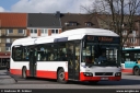 jasper8364.jpg