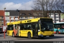 jasper8387.jpg