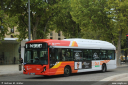 keolispda306.jpg