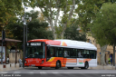 keolispda327.jpg