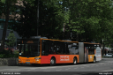koveb362.jpg