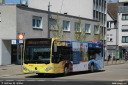 kws11.jpg