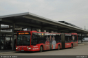 kws184.jpg