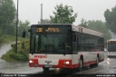 kws74.jpg