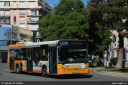 lda240.jpg