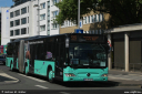 maras3672.jpg