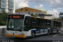 mvg783.jpg