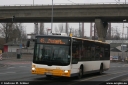 mvg824~0.jpg