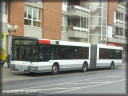 nvv0265.jpg