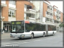 nvv0665.jpg