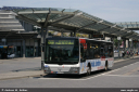 nvv0703.jpg