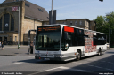 nvv0904.jpg