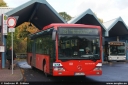 Dateiname=orn237.jpg
Dateigröße=245KB
Abmessungen: 800x536
hinzugefügt am: 13. November 2013 orn237.jpg
