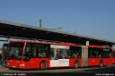 Dateiname=orn245.jpg
Dateigröße=181KB
Abmessungen: 800x536
hinzugefügt am: 29. November 2014 orn245.jpg
