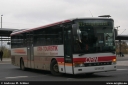 orn295.jpg
