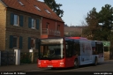 orn301.jpg