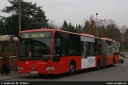 Dateiname=orn430.jpg
Dateigröße=223KB
Abmessungen: 800x536
hinzugefügt am: 05. Dezember 2014 orn430.jpg