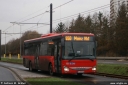 orn765.jpg