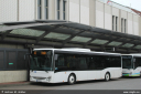 orth1050.jpg
