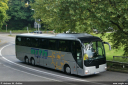 orth40_1.jpg