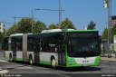 ovb55.jpg