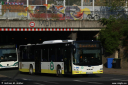 ovf2145.jpg