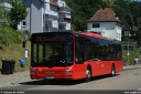 rbm2117.jpg