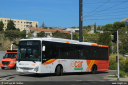 rdt131142.jpg