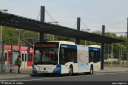 revg9074.jpg