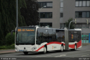 Dateiname=risse36.jpg
Dateigröße=261KB
Abmessungen: 1000x667
hinzugefügt am: 30. Januar 2023 risse36.jpg