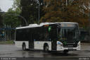 rve11-9910.jpg