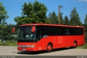 scherer13.jpg