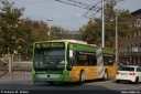 schlienz157.jpg
