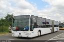 Dateiname=sippel381~0.jpg
Dateigröße=275KB
Abmessungen: 1000x667
hinzugefügt am: 11. Juli 2019 sippel381~0.jpg