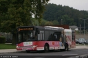 sternundhafferl139.jpg