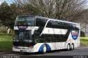 stewa994.jpg