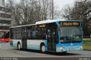 swm2634.jpg
