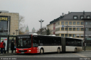 teutobus893.jpg