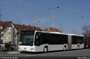 tirtey8900.jpg