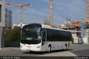 transfensch3314.jpg