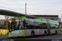 uestra8313.jpg
