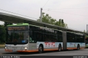 uestra8406.jpg