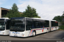 veelker220.jpg