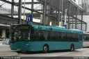 vgf339.jpg