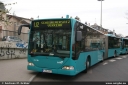 vgf377.jpg