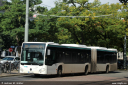 vgg633~0.jpg