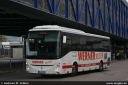 werner6031.jpg