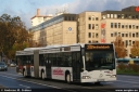 wibus585.jpg