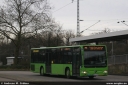willms270.jpg