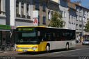 wilmering114.jpg